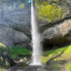 Meet your Posher, Gina